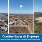 Agência do Trabalho de Pernambuco divulga novas vagas em Petrolina, Salgueiro e Araripina